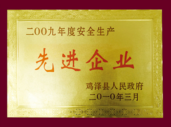 2009年度安全生產先進企業(yè)